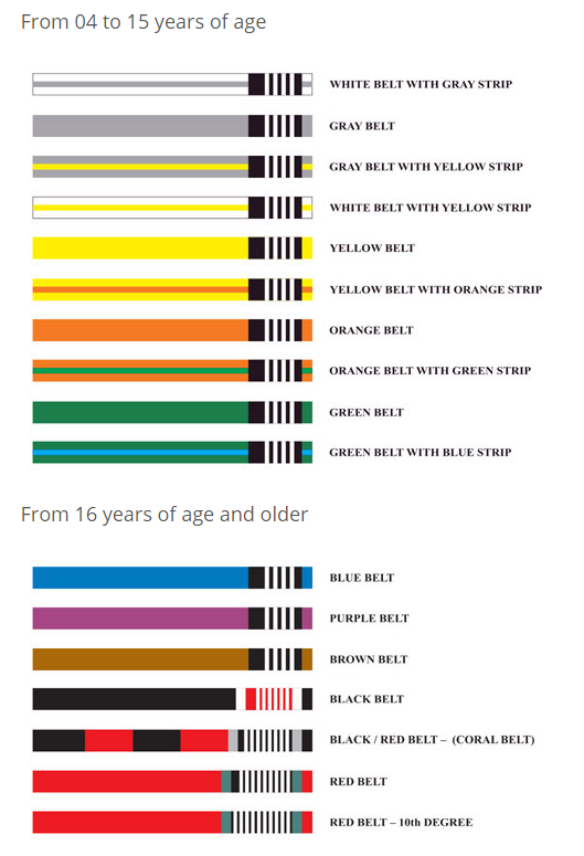 Jiu Jitsu Belt Ranks Adults | usapartners.metalbird.com